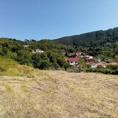 Il Giardino Carignano (Tuscany)